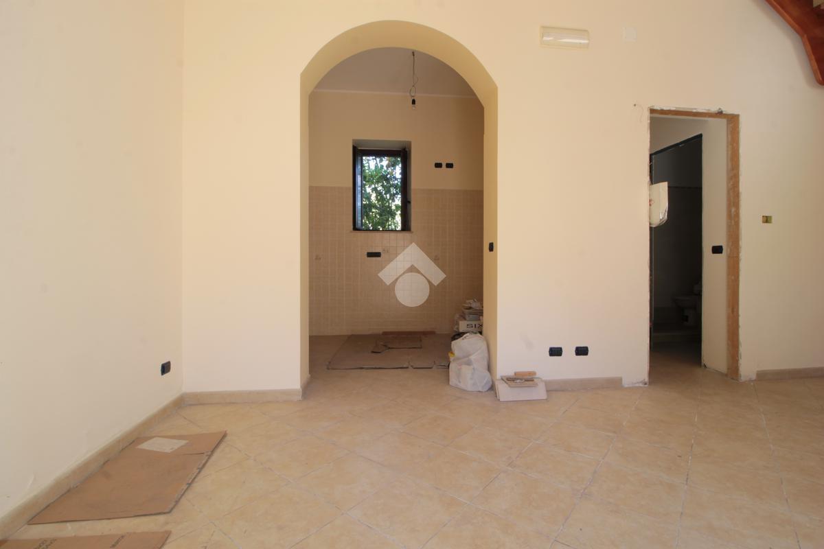 gallery (4)