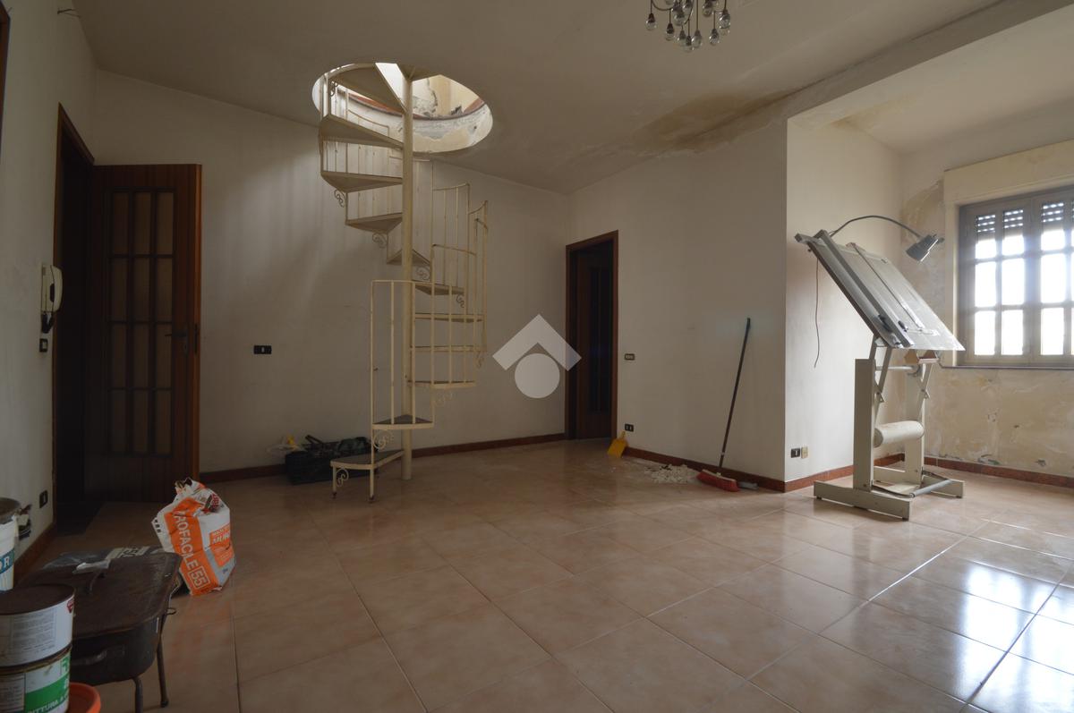 gallery (7)