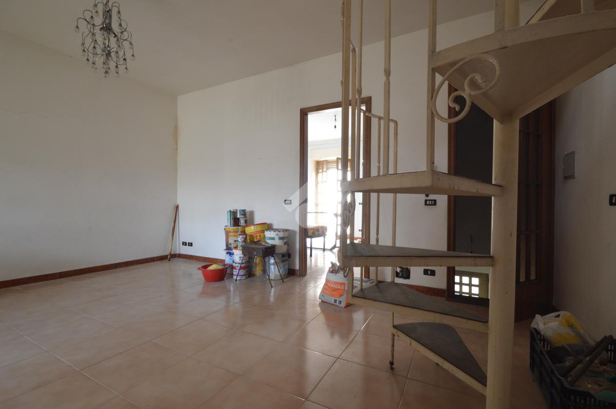 gallery (8)